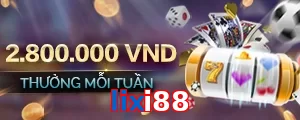 lixi88