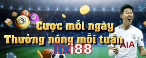 lixi88